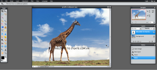 Đồ họa trực tuyến với pixlr.com